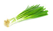 © sucharat - Green onion isolated on the white background