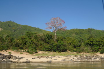 Sticker - Bord du Mekong 