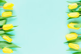 Fototapeta Tulipany - Floral background with yellow tulip flowers on light blue