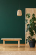 © Photographee.eu - Wooden stool next to plant in green natural living room interior with lamp and rug. Real photo