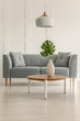 © Photographee.eu - Real photo of a grey sofa and coffee table with a monstera deliciosa in a living room interior