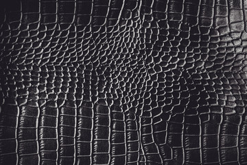 Wall Mural - Black crocodile leather texture background Ready used us backdrop or products design