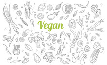 Sketch Style. Hand Drawn Set Of Healthy Food Ingredient Doodles In Vector. Healthy Diet Vegan Food, Veggie Protein Sources.