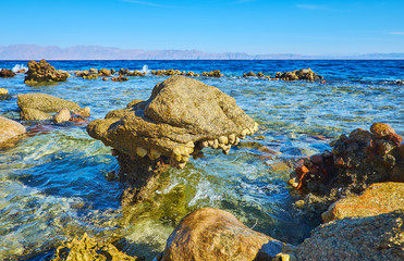 Canvas Print - Ebb tide in Aqaba gulf, Sinai, Egypt