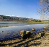 Fototapeta  - Spring. A fragment of the Lake Pancharevo, Sofia, Bulgaria.