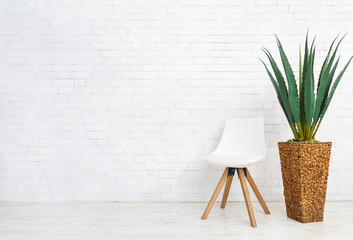 Home plant and chair on white background