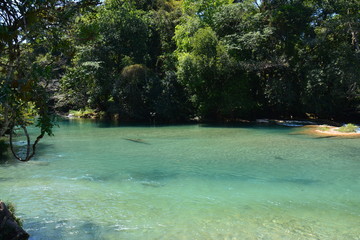 Cascade Agua Azul Chiapas Mexique - Agua Azul Waterfall Chiapas Mexico