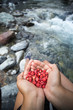 © Cavan Images - Hands holding freshly picked raspberries