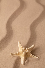Starfish On The Seashore And Summer Beach Sand. Sea Star On Textured Background With Open Copy Space.