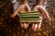 © Cavan Images - Hands of woman holding pile of cheroot cigars