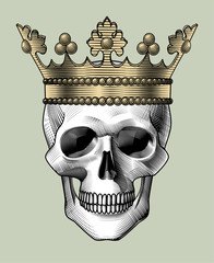 Human skull full face with a gold crown