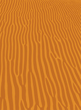 Orange Wave Sand Ripple Texture, Sahara Desert