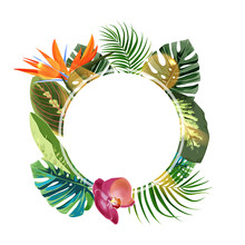 Tropical Plants Cicle Design Template. Bird Of Paradise, Monstera, Palm Leaves Composition With Blan Space.