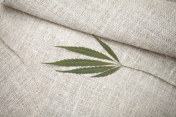 hemp fiber fabric