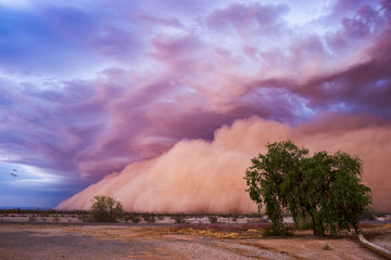 haboob dust storm in the arizona desert at sunset.