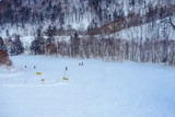 Fototapeta  - Winter holidays skiing at Sapporo Kokusai, Hokkaido, Japan.