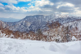 Fototapeta  - Beautiful view from snow covered moutain at Sapporo Kokusai, Japan.