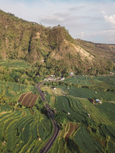Aerial View Of The Road In The Rice Field