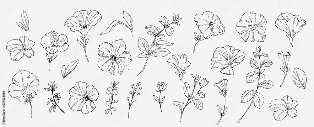 Sketch tropical flowers and leaves. Vector illustration - obrazy, fototapety, plakaty 