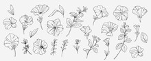 Sketch Tropical Flowers And Leaves. Vector Illustration