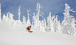 © Cavan Images - Male skier freeriding on mountain