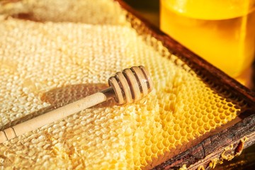 Wall Mural - honey and honeycomb