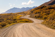 © Cavan Images - Winding dirt road, Denali National Park, Alaska, USA