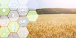Digital icons for management and monitoring agriculture