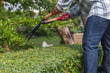 © Attapol - Men are using scissors to cut trees.