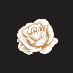 Sticker - Vintage rose drawing