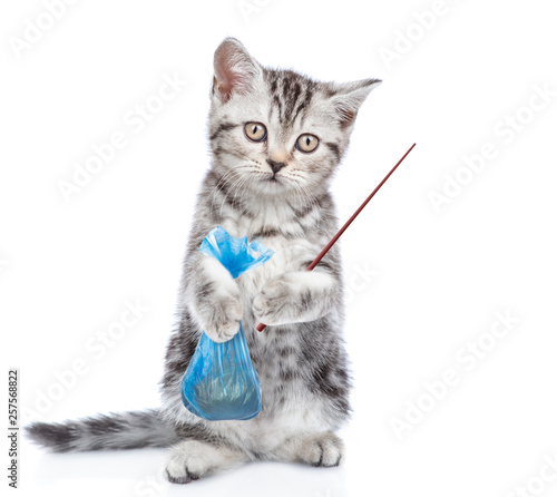 3 537 Katze Excrement Fototapeten Leinwandbilder Und Aufkleber Wallsheaven 3 537 Katze Excrement Fototapeten Leinwandbilder Und Aufkleber Wallsheaven