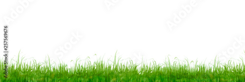 草 芝生 背景 黄緑 水彩 イラスト Stock Illustration Adobe Stock 草 芝生 背景 黄緑 水彩 イラスト Stock Illustration Adobe Stock
