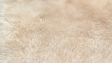 White Soft Wool Texture Background, Cotton Wool, Light Natural Animal Wool, Close-up Texture Of White Fluffy Fur, Wool With Beige Tone, Fur With A Delicate Peach Tint