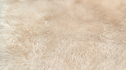 white soft wool texture background, cotton wool, light natural animal wool, close-up texture of whit
