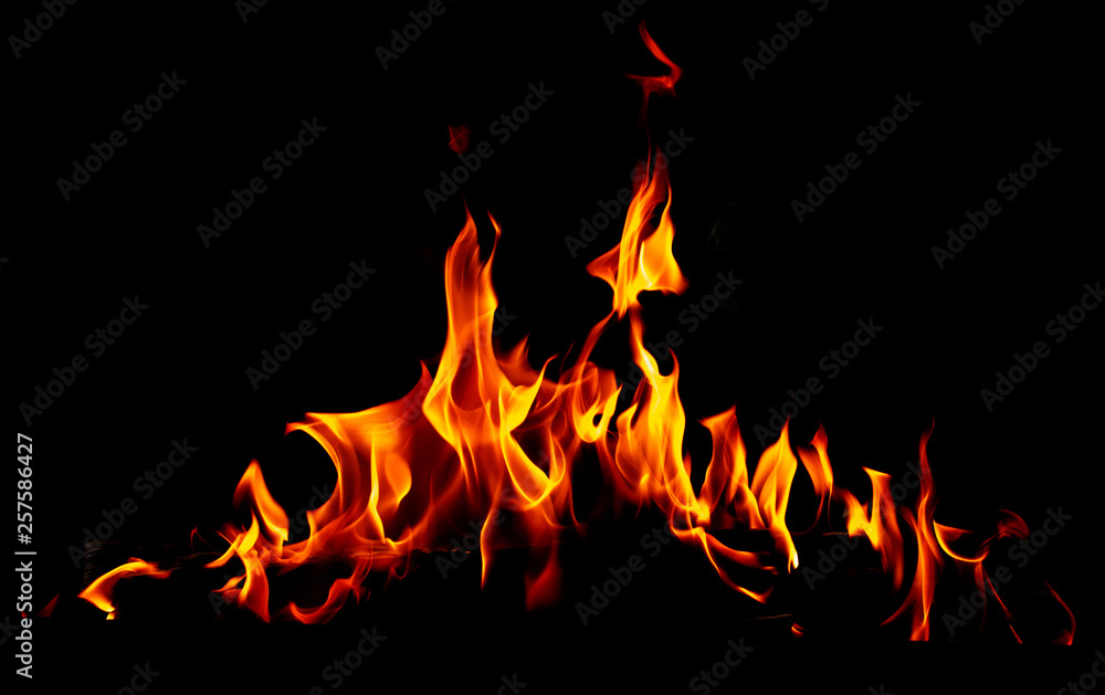 Flame of fire on a black background - obrazy, fototapety, plakaty 
