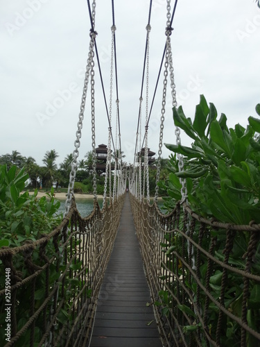 Obrazy most w dżungli  sciezka-mostu