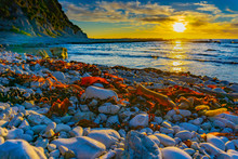 Rocky Foreshore At Sunset