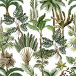 Seamless pattern with exotic trees such us palm, monstera and banana. Interior vintage wallpaper.