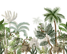 Seamless Border With Tropical Tree Such As Palm, Banana, Monstera. Vector.