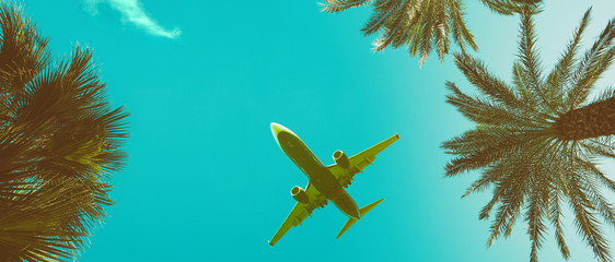 Wall Mural - Palm trees perspective view long banner with airplane vintage toned with copy-space