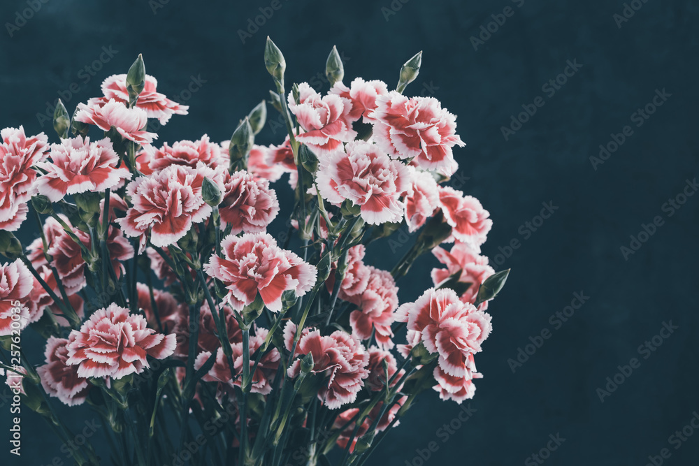Carnation flowers bouquet retro color toned dark moody background. - obrazy, fototapety, plakaty 