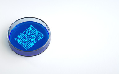 Poster - petri dishes with samples for dna sequencing, 3d rendering,conceptual image.