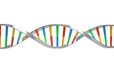 Poster - dna molecules, structure of the genetic code, 3d rendering,conceptual image.