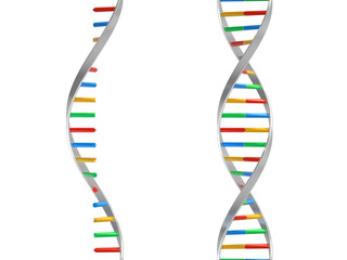 Poster - dna molecules, structure of the genetic code, 3d rendering,conceptual image.