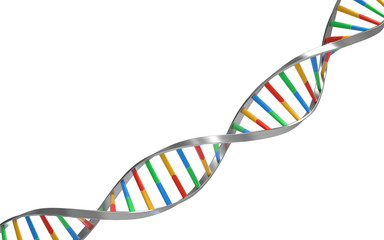 Poster - dna molecules, structure of the genetic code, 3d rendering,conceptual image.