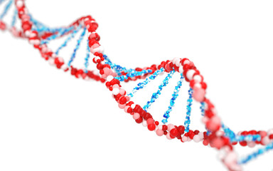 Poster - dna molecules, structure of the genetic code, 3d rendering,conceptual image.