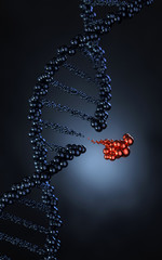 Poster - genetic engineering and gene manipulation concept, 3d rendering,conceptual image.