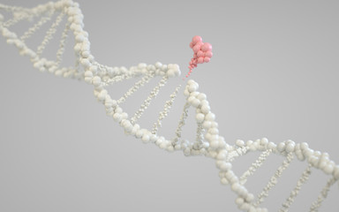 Poster - genetic engineering and gene manipulation concept, 3d rendering,conceptual image.