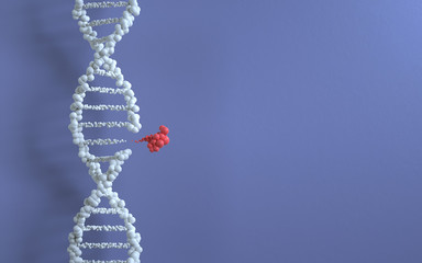 Poster - genetic engineering and gene manipulation concept, 3d rendering,conceptual image.