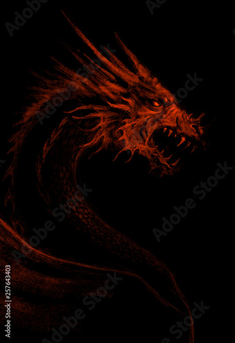 Fierce dragon Fototapeta